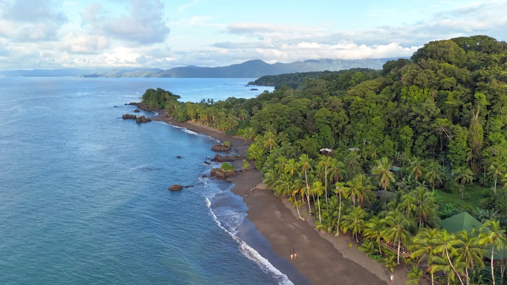 Selva tropical y playas vírgenes en Nuquí Colombia